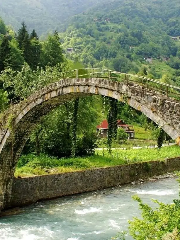 Karadeniz'de ormanın içinden geçen dere üzerindeki taş kemer köprü