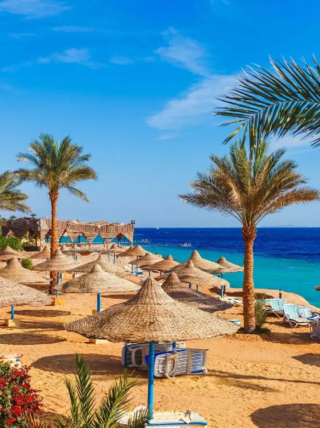 Sharm El Sheikh'te palmiyeli kumsal ve Kızıldeniz