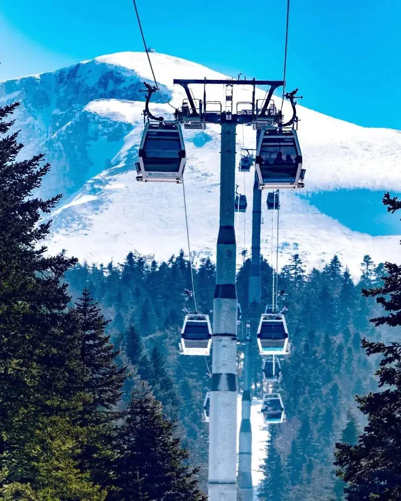 Uludağ'da karla kaplı çam ormanının üzerinden geçen teleferik